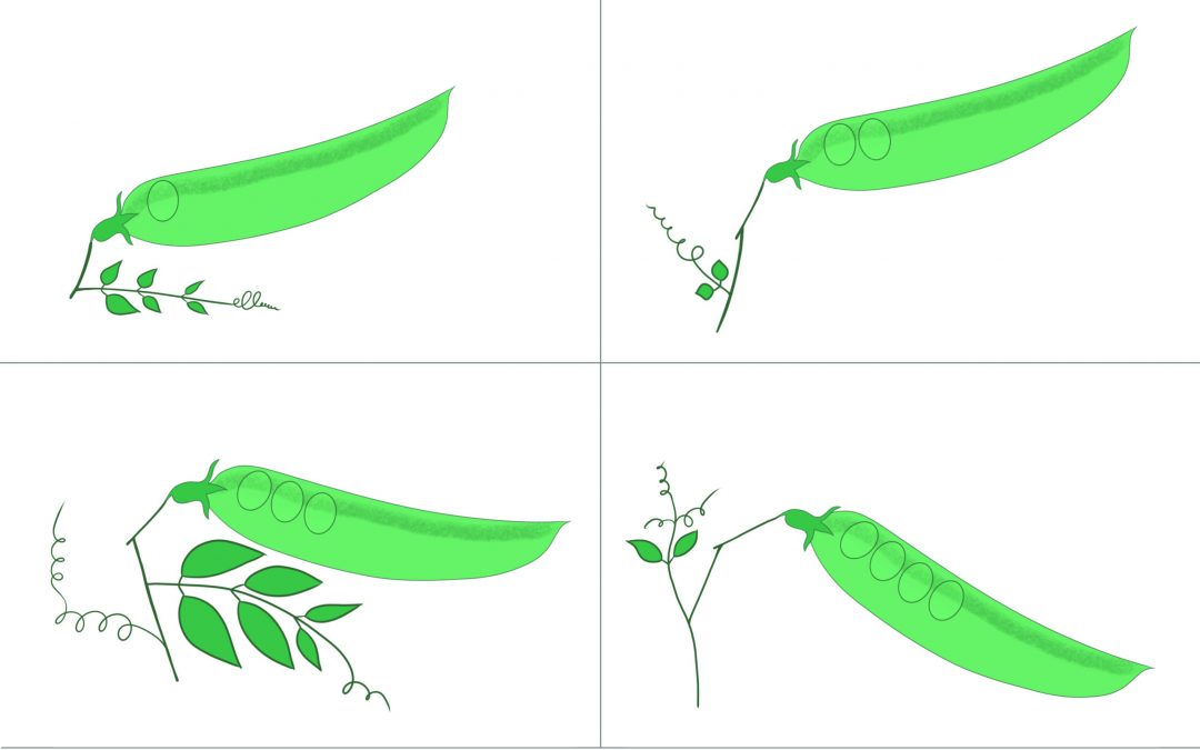 Activité de pré-mathématiques à imprimer