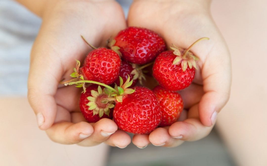 DIY : Activités Montessori – été