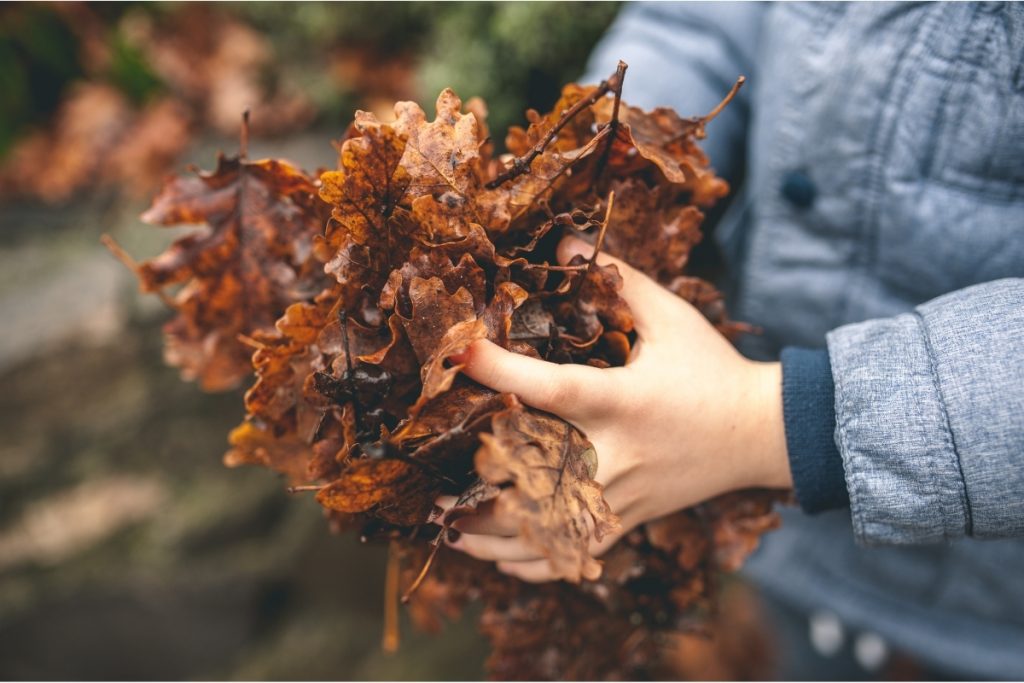 Un enfant réalise une activité dehors avec des feuilles d'automne.