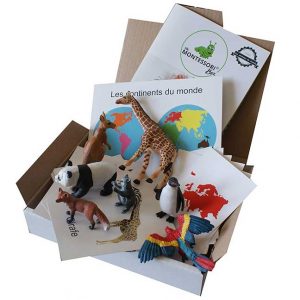 Box Animaux du Monde Montessori